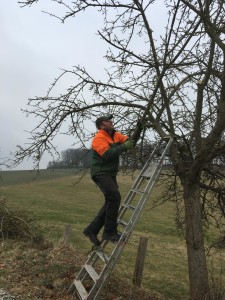 Obstbaumschnitt 2017